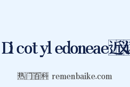 Dicotyledoneae近义词是什么意思的图片